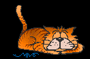 cat_anm.gif