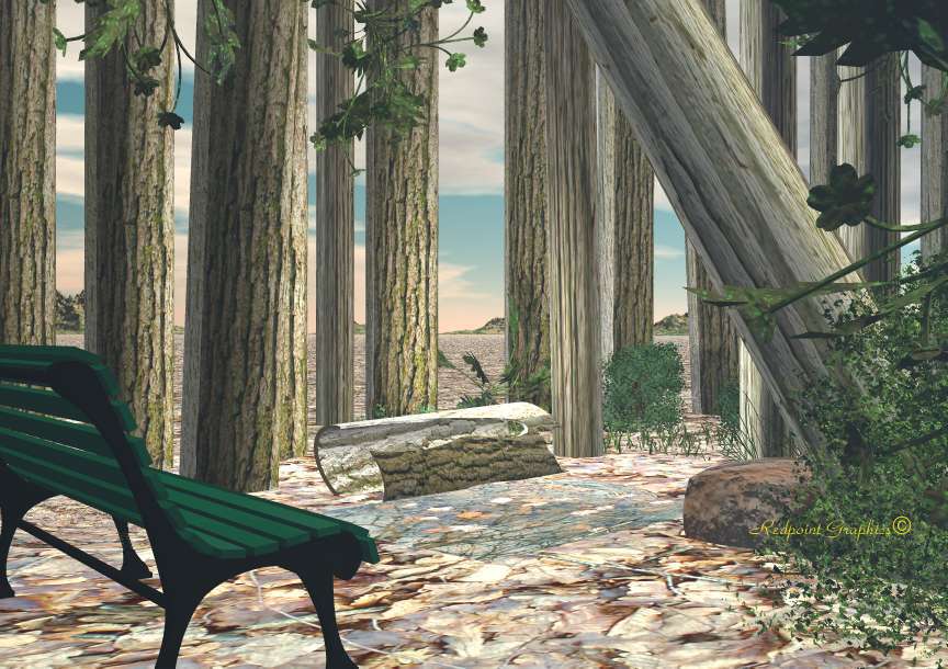 The Wood